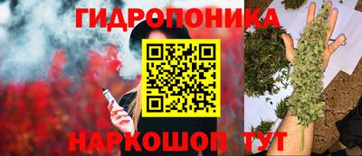 jwh Партизанск